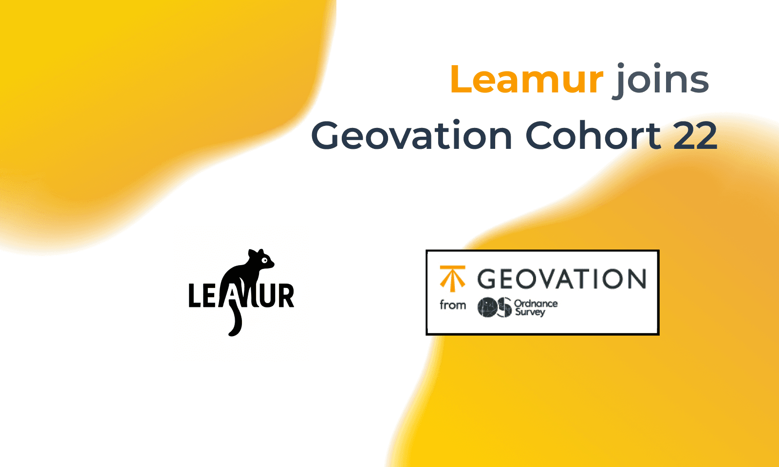 Leamur x Geovation